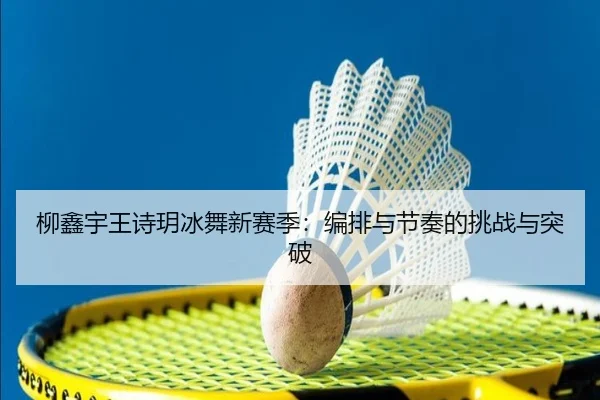 liu-xin-yu-wang-shi-yue-bing-wu-xin-sai-ji-bian-pai-yu-jie-zou-de-tiao-zhan-yu-tu-po-3-357.jpg