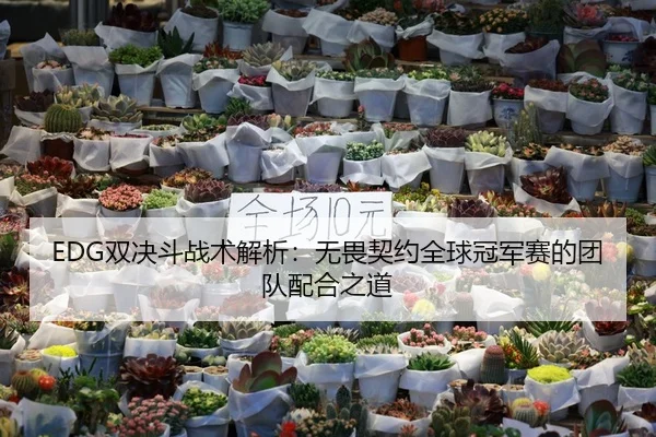 shuang-jue-dou-zhan-shu-jie-xi-wu-wei-qi-yue-quan-qiu-guan-jun-sai-de-tuan-dui-pei-he-zhi-dao-3-211.jpg