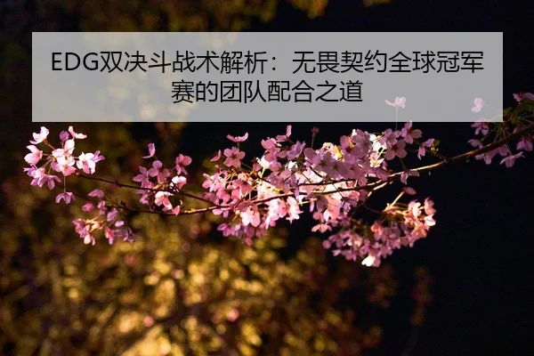 EDG双决斗战术解析：无畏契约全球冠军赛的团队配合之道