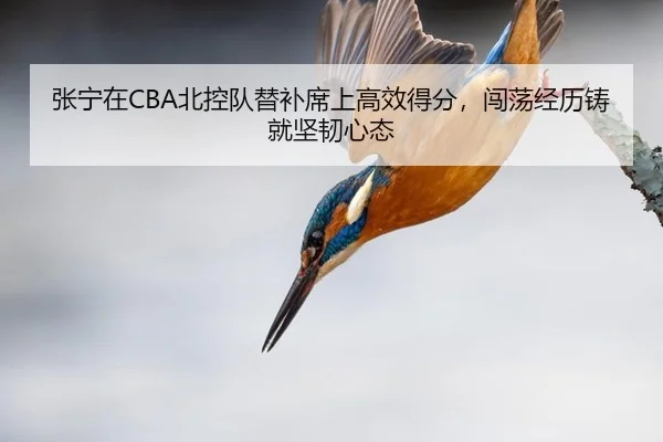 张宁在CBA北控队替补席上高效得分，闯荡经历铸就坚韧心态