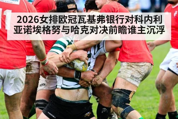2026女排欧冠瓦基弗银行对科内利亚诺埃格努与哈克对决前瞻谁主沉浮